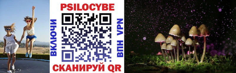 Галлюциногенные грибы Cubensis  Дмитриев 